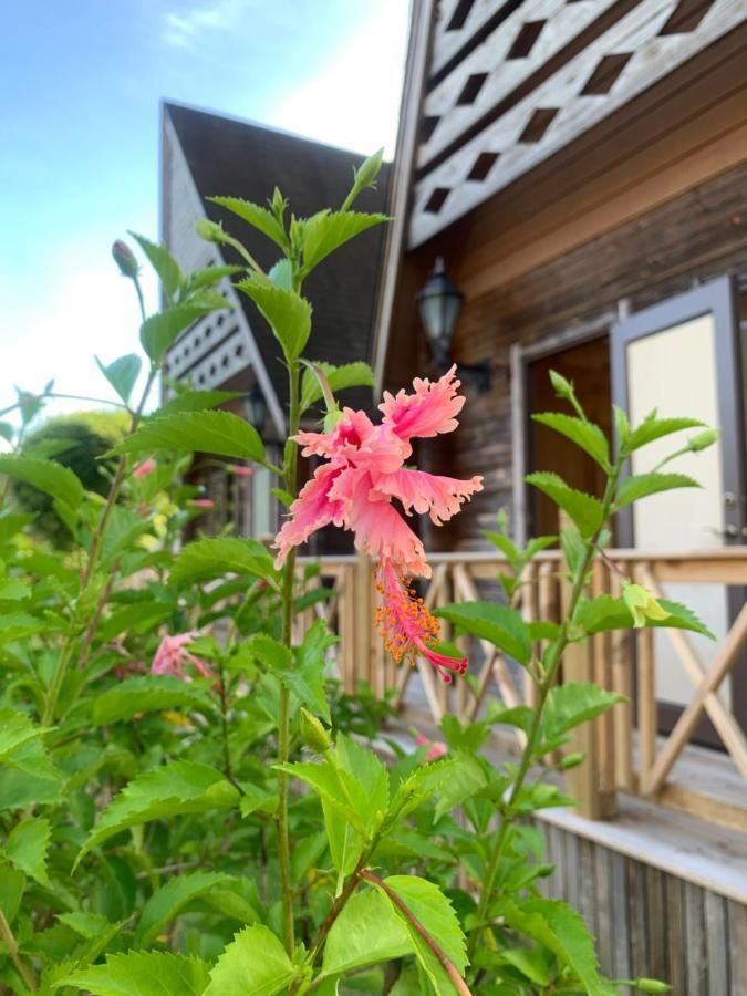 Island Paradise Resort Club Koror village Exterior foto